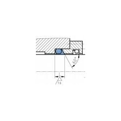 slip ring seal